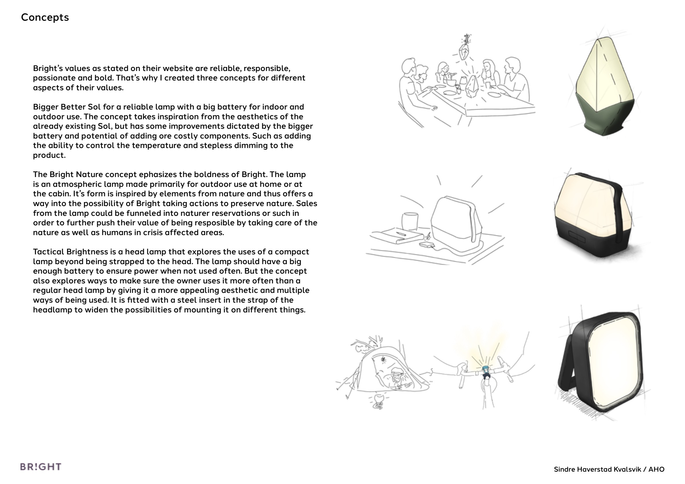 Bright report page 5